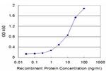 ECHS1 Antibody in ELISA (ELISA)