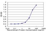 EEF1D Antibody in ELISA (ELISA)