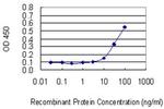 EIF2D Antibody in ELISA (ELISA)