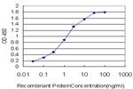 CELSR3 Antibody in ELISA (ELISA)