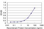 EGFR Antibody in ELISA (ELISA)