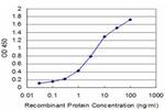 EGR1 Antibody in ELISA (ELISA)