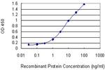 EGR2 Antibody in ELISA (ELISA)