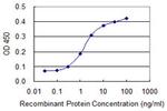 EIF4EBP1 Antibody in ELISA (ELISA)