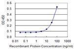 ELA1 Antibody in ELISA (ELISA)