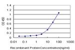 ELAVL4 Antibody in ELISA (ELISA)