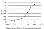 ELF1 Antibody in ELISA (ELISA)