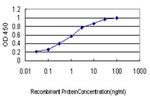 MARK2 Antibody in ELISA (ELISA)