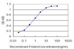 EP300 Antibody in ELISA (ELISA)