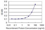 EPB42 Antibody in ELISA (ELISA)