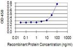 EPHA1 Antibody in ELISA (ELISA)