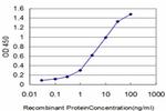 EPHB3 Antibody in ELISA (ELISA)