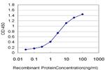 EPHB3 Antibody in ELISA (ELISA)