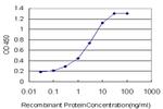 EPHB3 Antibody in ELISA (ELISA)