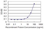 ERBB2 Antibody in ELISA (ELISA)