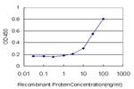 ERBB3 Antibody in ELISA (ELISA)