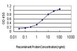 ERH Antibody in ELISA (ELISA)