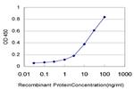 ERN1 Antibody in ELISA (ELISA)