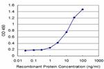 ESD Antibody in ELISA (ELISA)