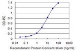 ETV4 Antibody in ELISA (ELISA)