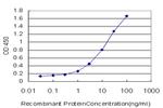 ETV5 Antibody in ELISA (ELISA)