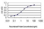 MECOM Antibody in ELISA (ELISA)