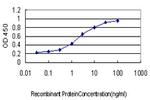 F12 Antibody in ELISA (ELISA)