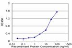 FAAH Antibody in ELISA (ELISA)