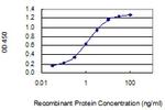 PTK2B Antibody in ELISA (ELISA)