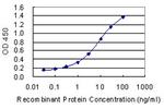 FECH Antibody in ELISA (ELISA)