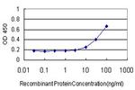 FGF1 Antibody in ELISA (ELISA)