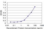 FGF8 Antibody in ELISA (ELISA)