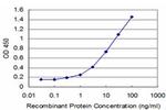 FGF8 Antibody in ELISA (ELISA)