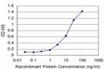 FGF8 Antibody in ELISA (ELISA)