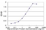 FGFR1 Antibody in ELISA (ELISA)