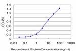 FGR Antibody in ELISA (ELISA)