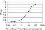 FGR Antibody in ELISA (ELISA)