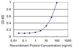 FH Antibody in ELISA (ELISA)