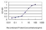 FKBP5 Antibody in ELISA (ELISA)