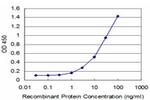 FOXF1 Antibody in ELISA (ELISA)