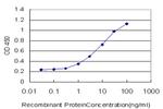 FOXO3A Antibody in ELISA (ELISA)