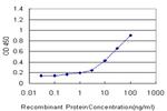 FOXO3A Antibody in ELISA (ELISA)