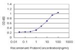 FOXO3A Antibody in ELISA (ELISA)