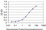 FLT4 Antibody in ELISA (ELISA)