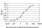 FLT4 Antibody in ELISA (ELISA)