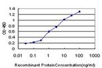 FLT4 Antibody in ELISA (ELISA)