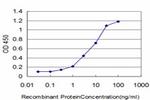 FLT4 Antibody in ELISA (ELISA)