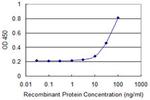 FPR2 Antibody in ELISA (ELISA)