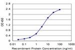 FXN Antibody in ELISA (ELISA)