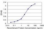 FXN Antibody in ELISA (ELISA)